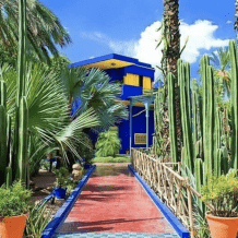 Majorelle-Gardens-Marrakech-Morocco-Travel-Blog