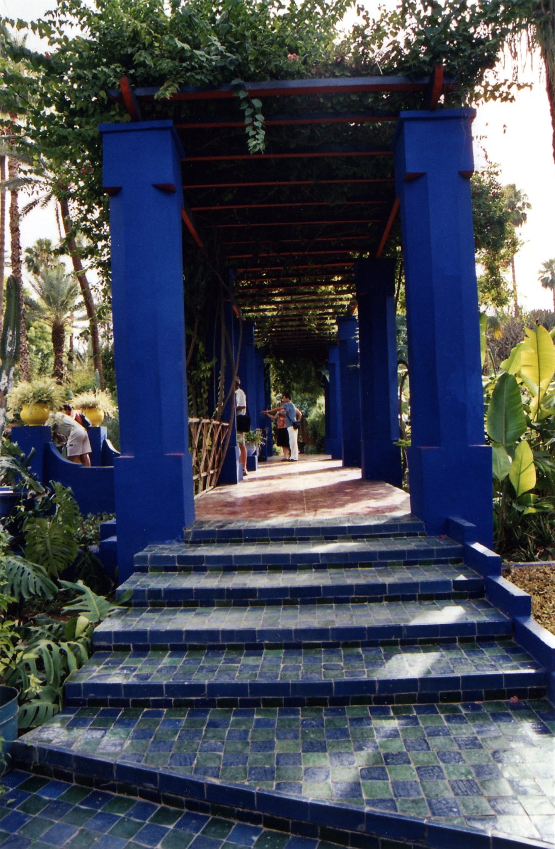 Majorelle Blue – Tour Yves Saint Laurent’s Moroccan Gardens – Morocco