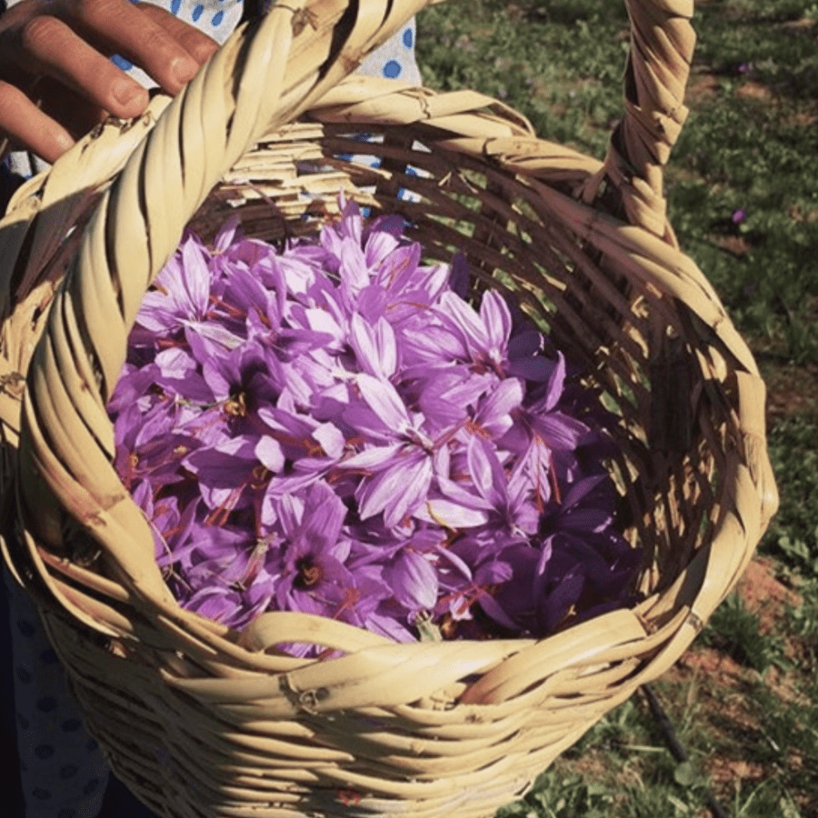 Herbaria Miscela di Spezie Bio - Tajine di Marrakech - Piccantino