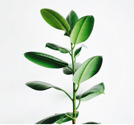 Morocco-Nigeria-Partner-To Build-A-Natural-Gas Electricity-Plant