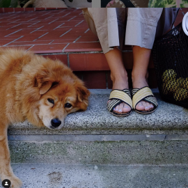 Giovanna Raffia Shoes in Black & Pale Yellow