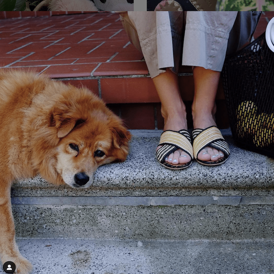 Giovanna Raffia Shoes in Black & Pale Yellow