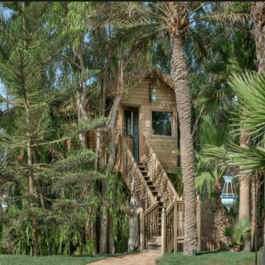 La-Sultana-Tree-House-Morocco-Travel-Blog
