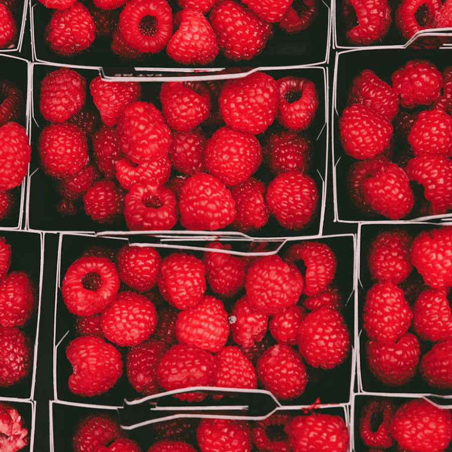 Raspberries-USA-Import-Morocco-Travel-Blog