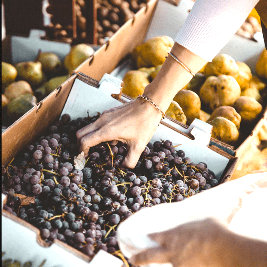 Ayaso-Farmers-Market-Morocco-Travel-Blog