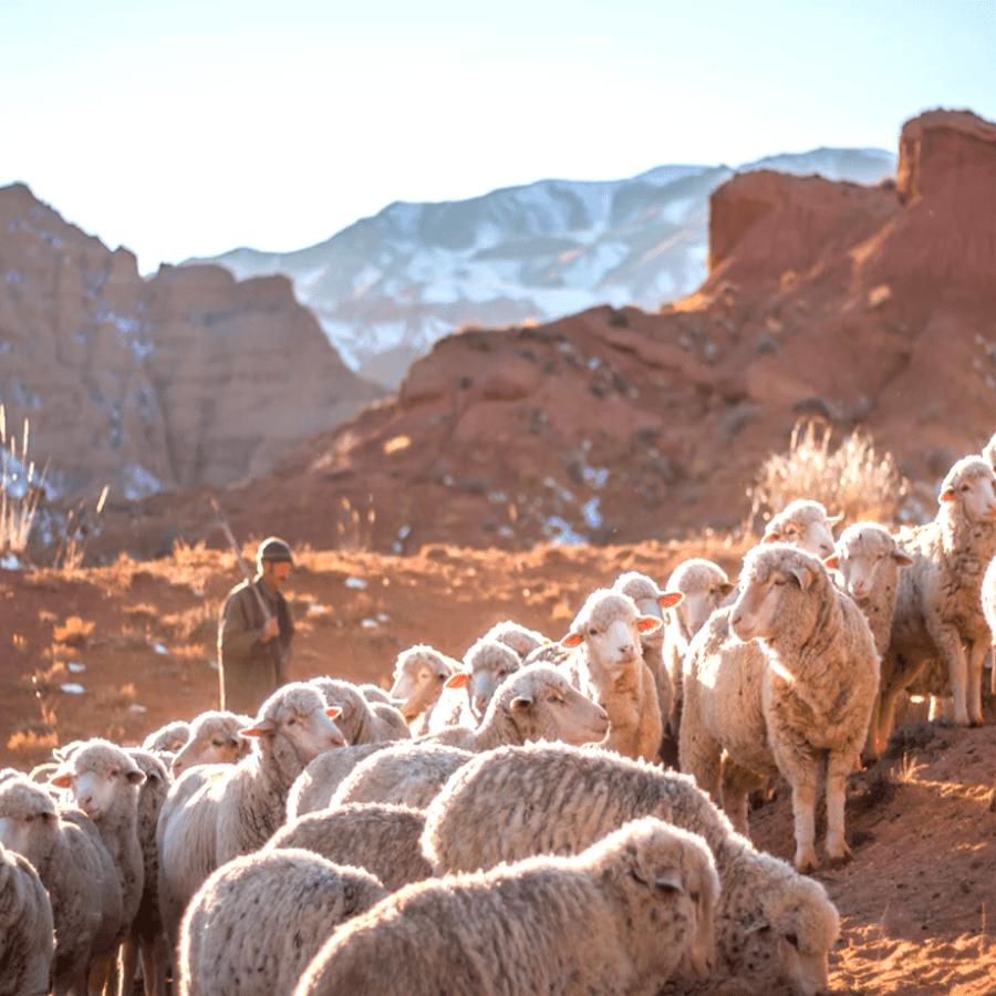 Eid-Clean-Campaign-Morocco-Travel-Blog