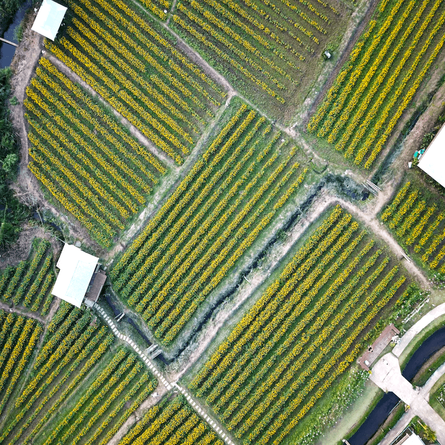 Water-Irrigation-Green-Plan-Morocco-Travel-Blog