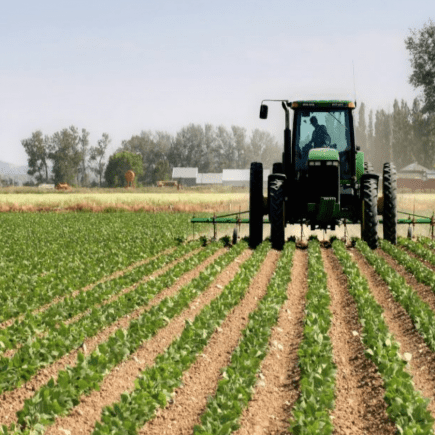 Agricultural-Cooperatives-Morocco-Travel-Blog