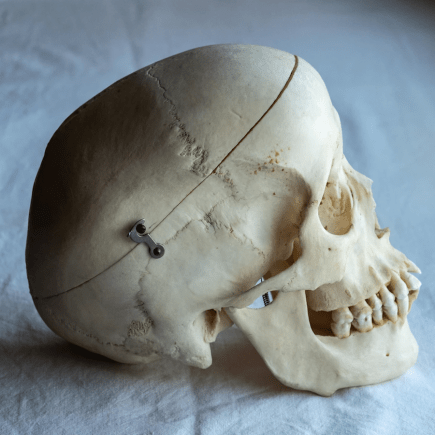 Fossils-Pre-historic-Morocco-Travel-Blog