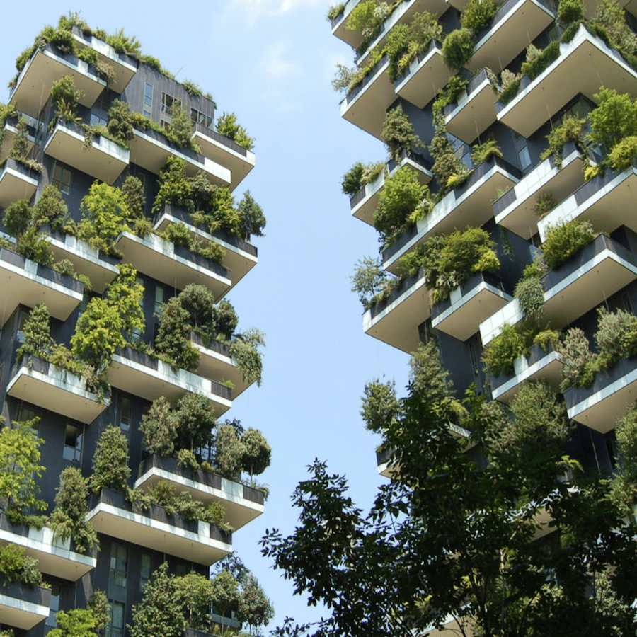 Sustainability-Conference-Agadir-Morocco-Travel-Blog