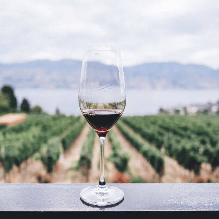 Wine-Meknes-Morocco-Travel-Blog