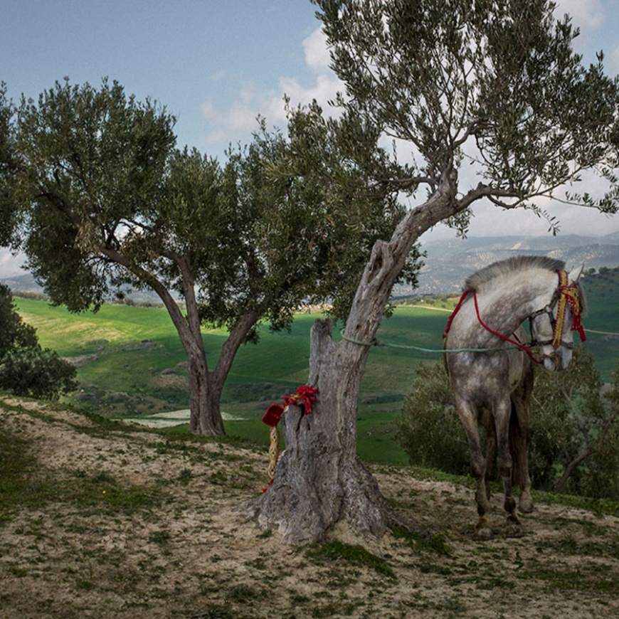 GodFather-Khalil-Nemmaoui-Morocco-Travel-Blog
