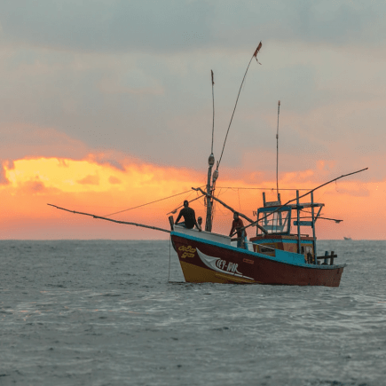 Sustainable-Fishing-Rabat-Morocco-Travel-Blog