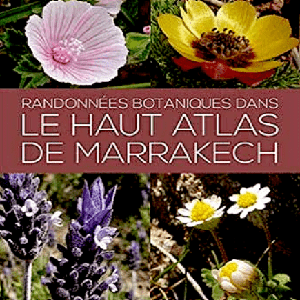 Marie-Coste-El-Omari-Book-Morocco-Travel-Blog