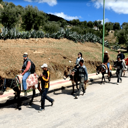 Donkey ride, Moulay Idriss 