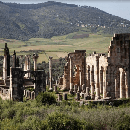 Volubilis-Roman-Site-Morocco-Travel-Blog