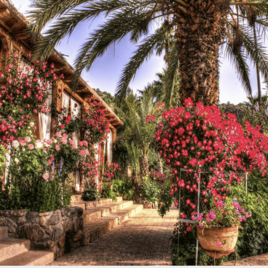 Domaine-de-la-Roseraie-Morocco-Travel-Blog