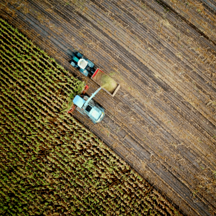 Sustainable-Agriculture-Morocco-Travel-Blog