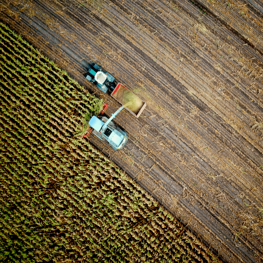 Sustainable-Agriculture-Morocco-Travel-Blog