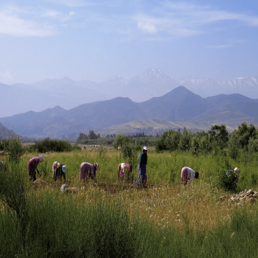 High-Atlas-Foundation