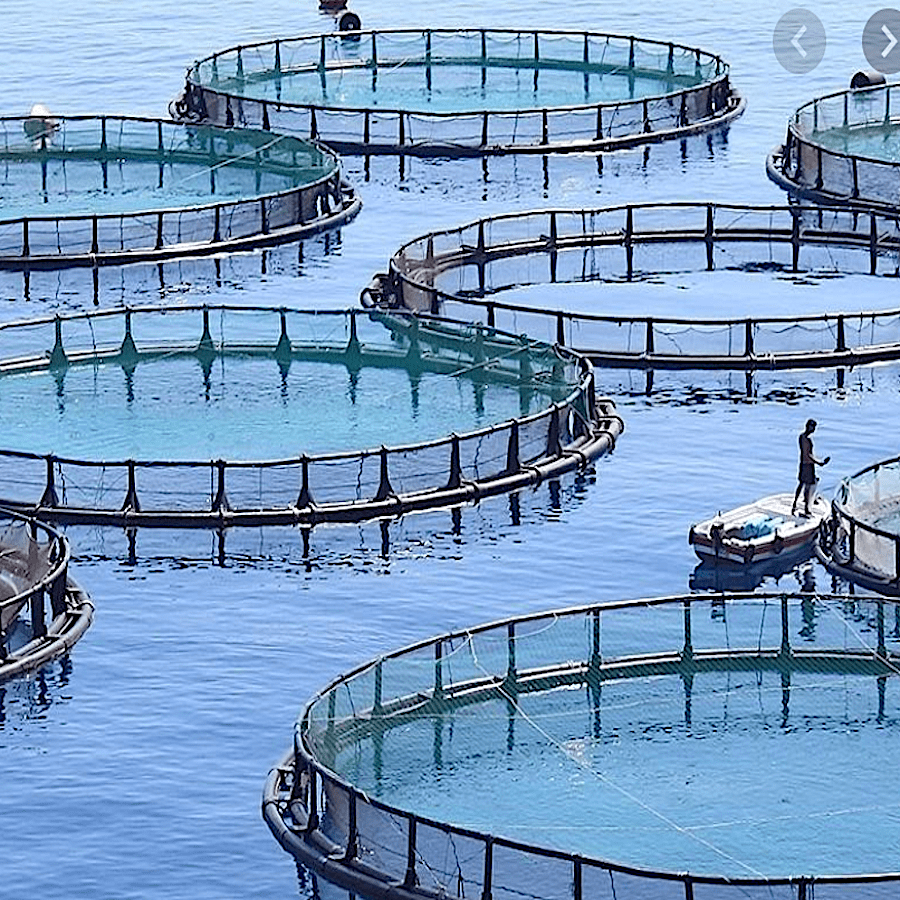 Morocco-Aquaculture-Project-Souss-Massa-Morocco-Travel-Blog