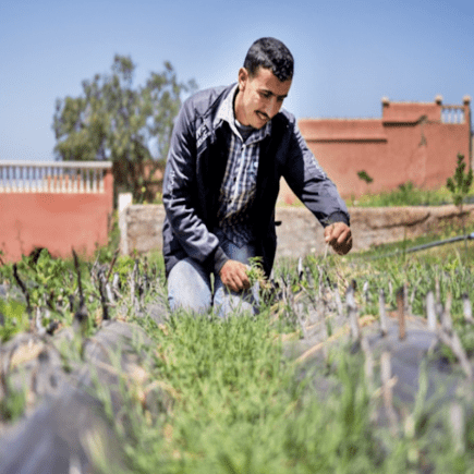 High-Atlas-Foundation-Interculturalism-Celebration-Morocco-Travel-Blog