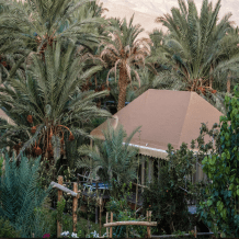Dar-Hnini-Guest-House-Garden-Morocco-Travel-Blog