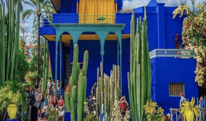 Yves-Saint-Laurent-Majorelle-Gardens-Morocco-Travel-Blog