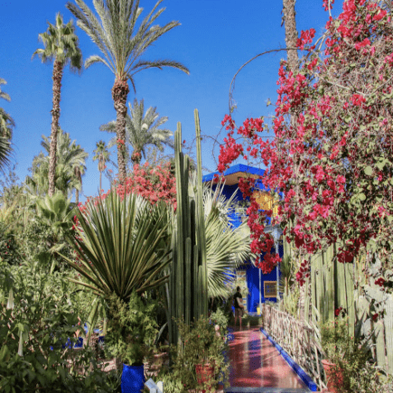 Majorelle-Gardens-Morocco-Travel-Blog