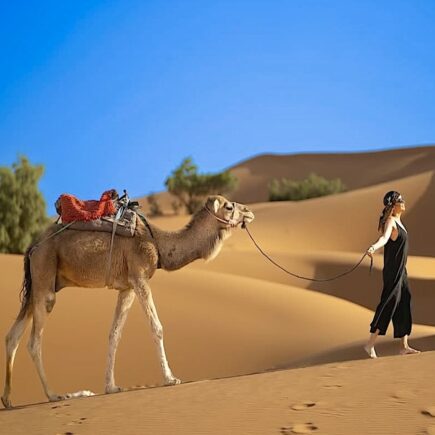 Woman over 50 walking camel in Erg Chebbi Dunes, Sahara Desert