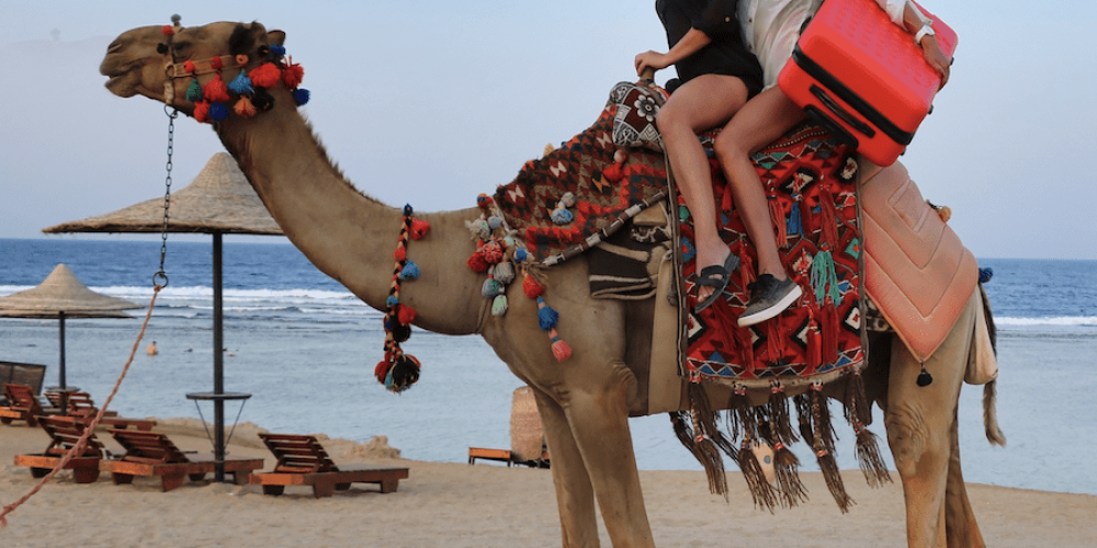 15-Must-Pack Items-Morocco-Trip-Women-on-Camel-Morocco-Travel-Blog