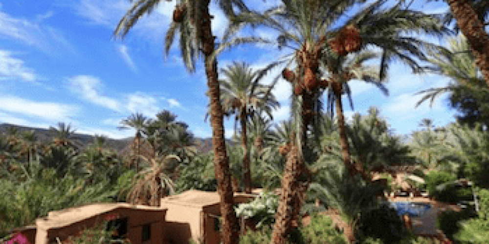 Bab Ouled, Agdz, Green Key Property, Zagora Region