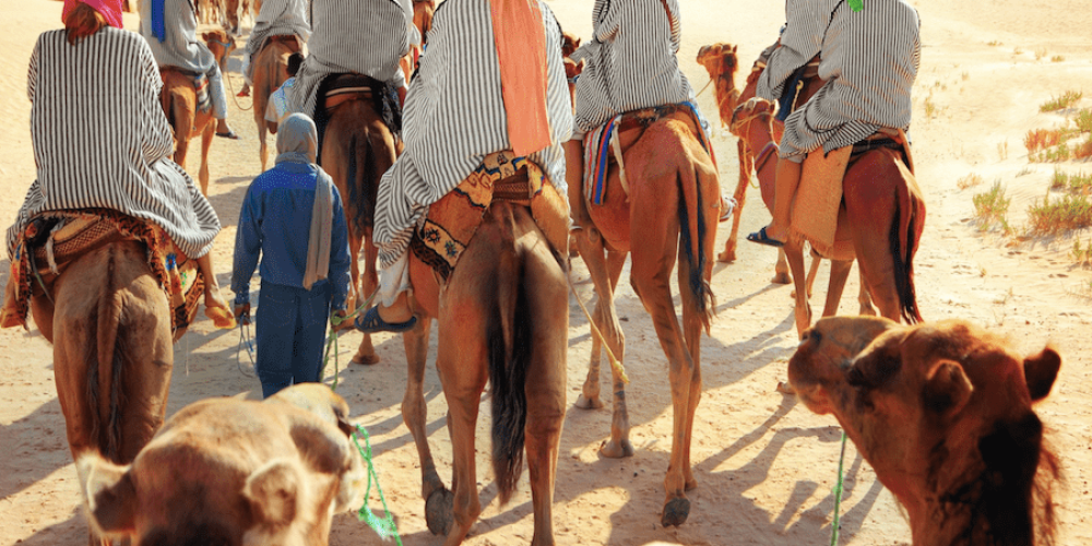 Best Morocco Family Vacation Ideas