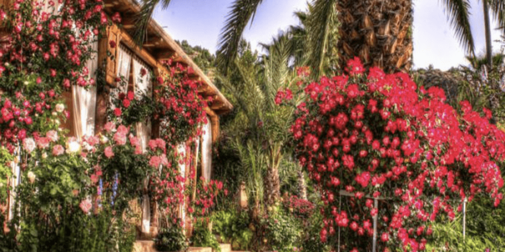 Domaine-de-la-Roseraie-Morocco-Travel-Blog