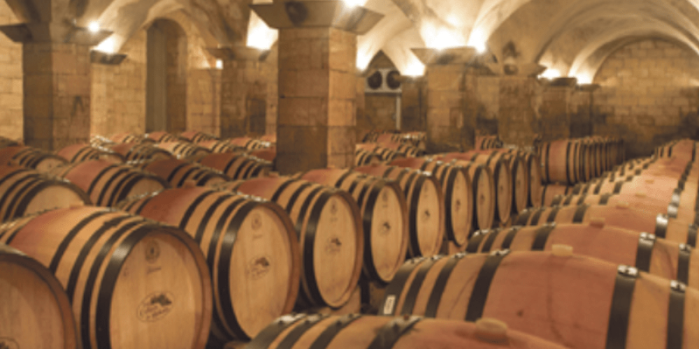 Moroccan-Wines-and-Vineyards-Morocco-Travel-Blog