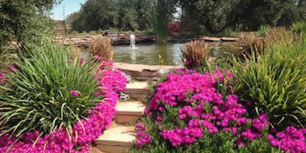 Peacock-Pavilion-Rose-Gardens-Morocco-Travel-Blog
