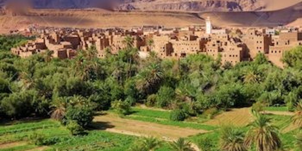 Travel Exploration Leader in Morocco Private Tours, Tinerhir Region
