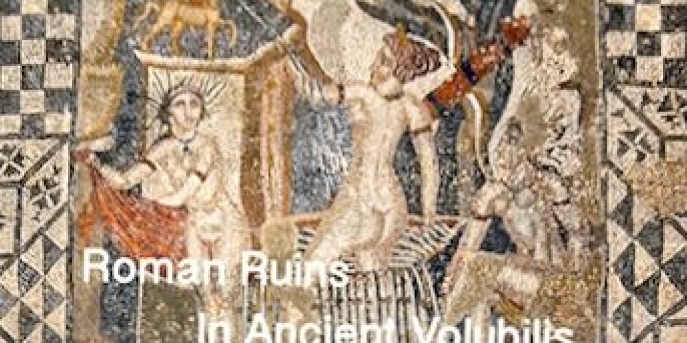 Volubilis Roman Ruins, Mosaics