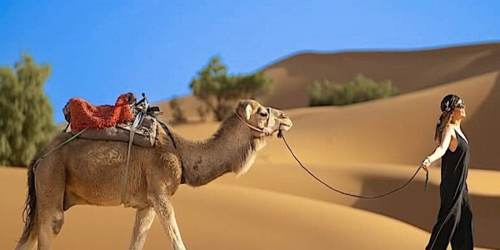 Woman over 50 walking camel in Erg Chebbi Dunes, Sahara Desert